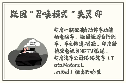 **版双男车车